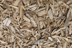 biomass boilers Holt Wood